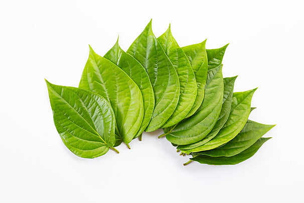 Betel Leaf (Trầu)
