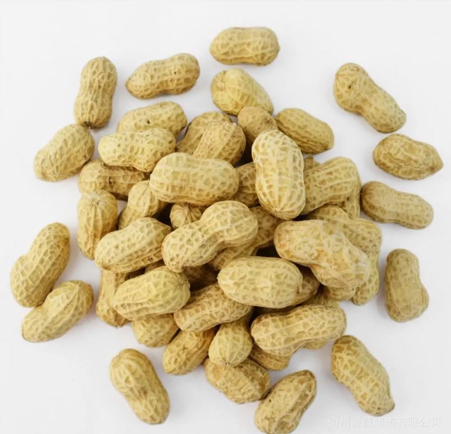 Fresh Green Peanuts