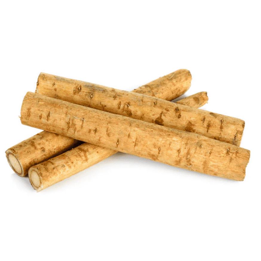 Gobo Root (Burdock Root)