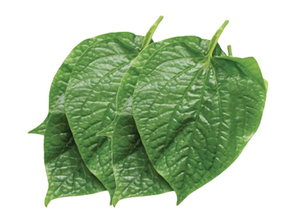 Heartleaf (Lá Lốt)
