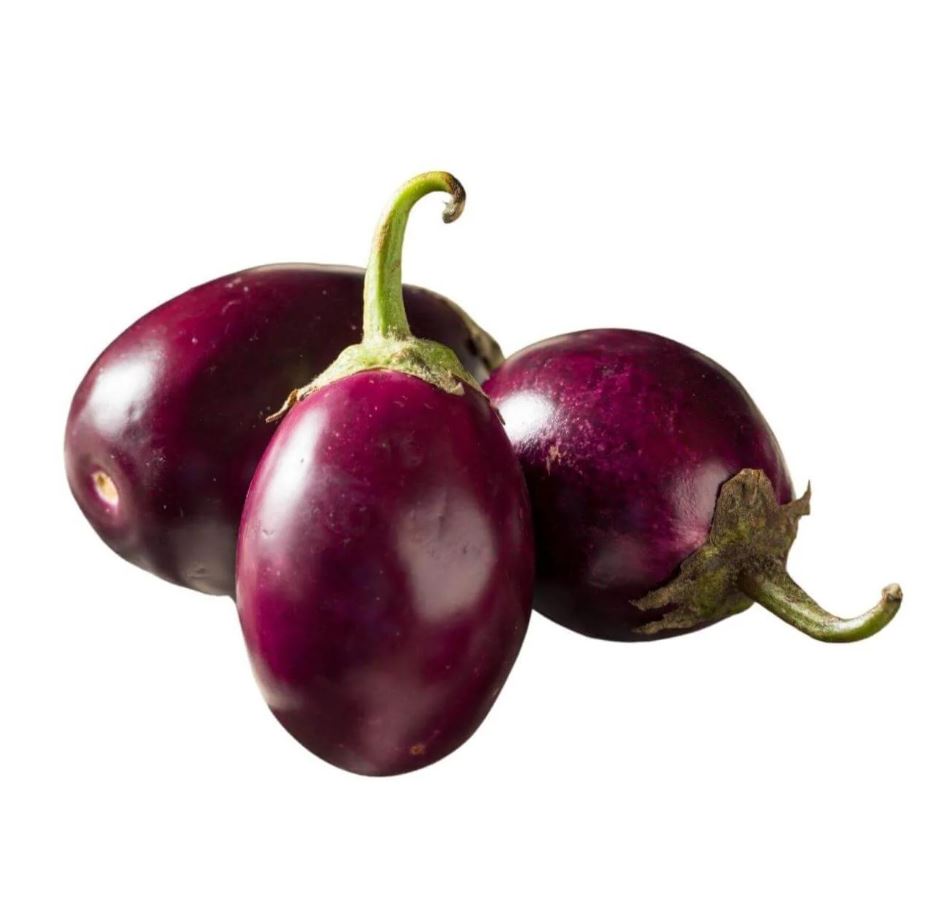 Indian Eggplant (Brinjal)