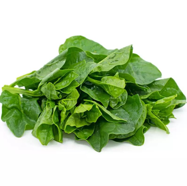 Malabar Spinach