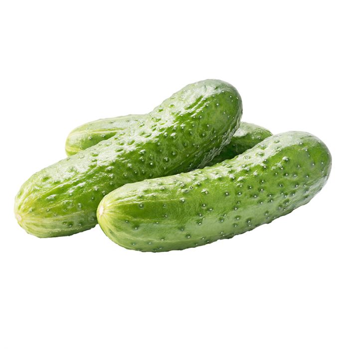 Pickling Cucumber