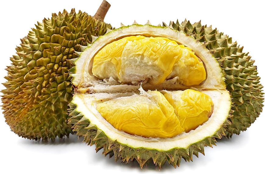 Puangmanee Durian