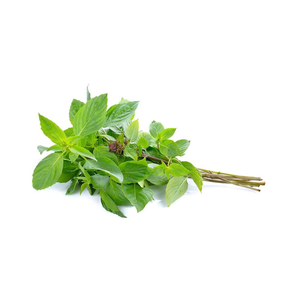 Thai Basil