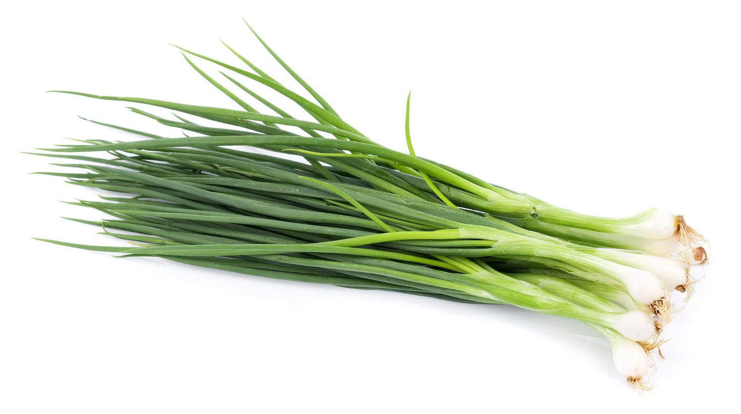 Green Onions (Scallions) (1 ct)