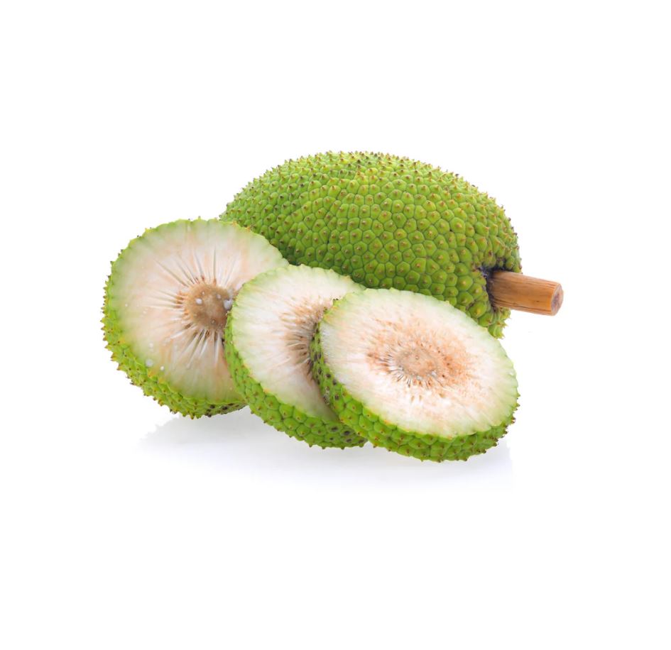 Breadfruit