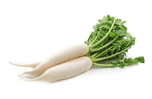 Japanese Daikon Radish