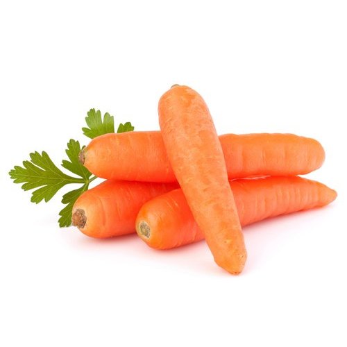 Fresh Carrots