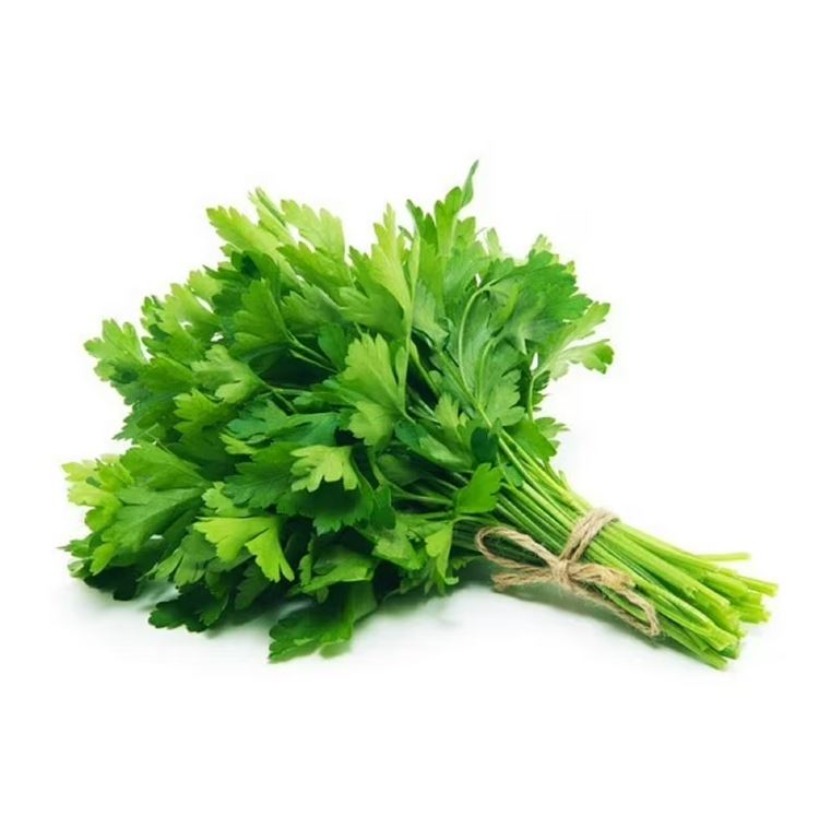 Fresh Cilantro