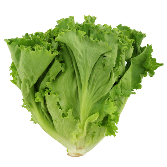 Green Leaf Lettuce (1 ct)