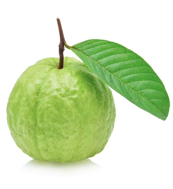 Guava