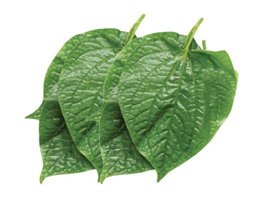 Heartleaf (Lá Lốt)