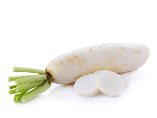 Chinese Daikon Radish