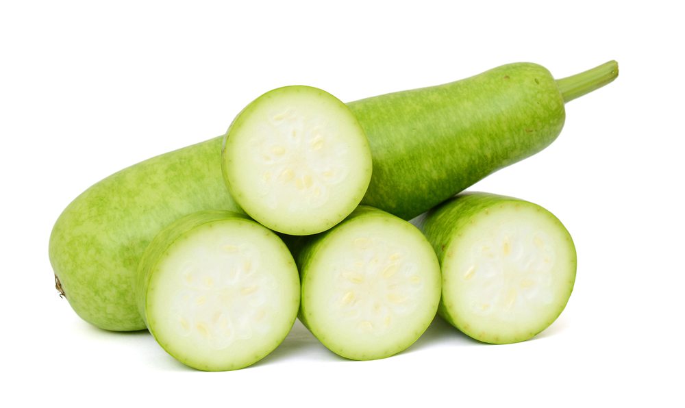 Long Squash (Opo Squash)