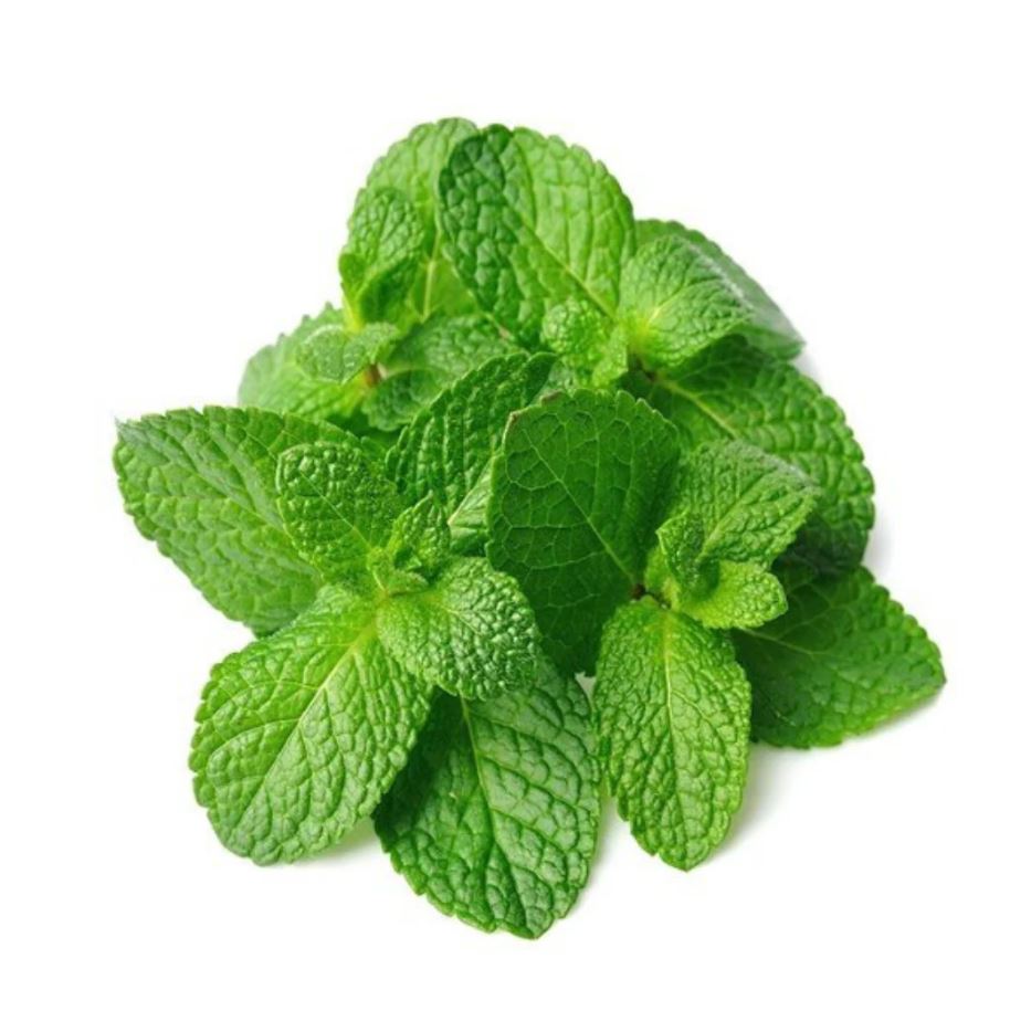 Mint (1 ct)