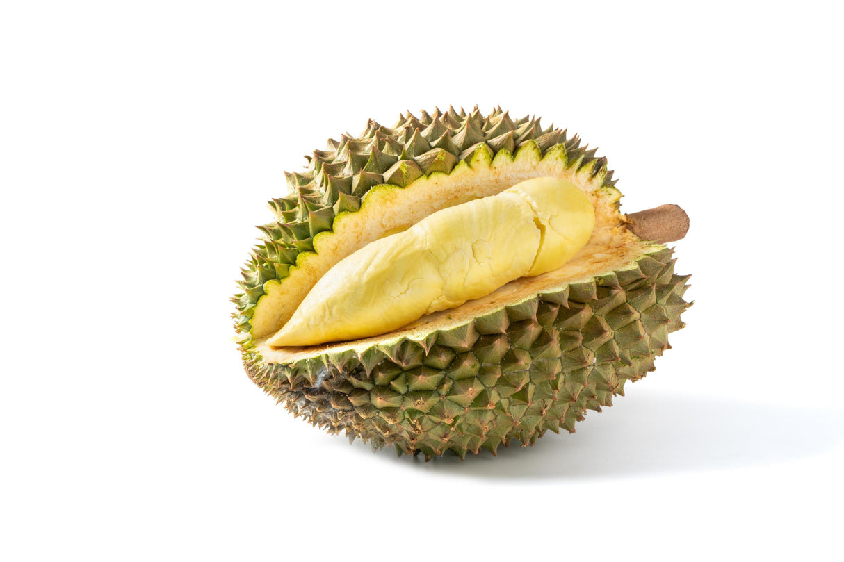 Montong Durian