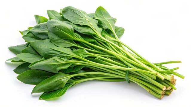 Water spinach
