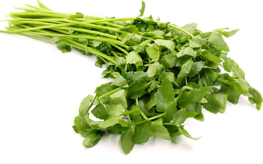 Chinese Celery