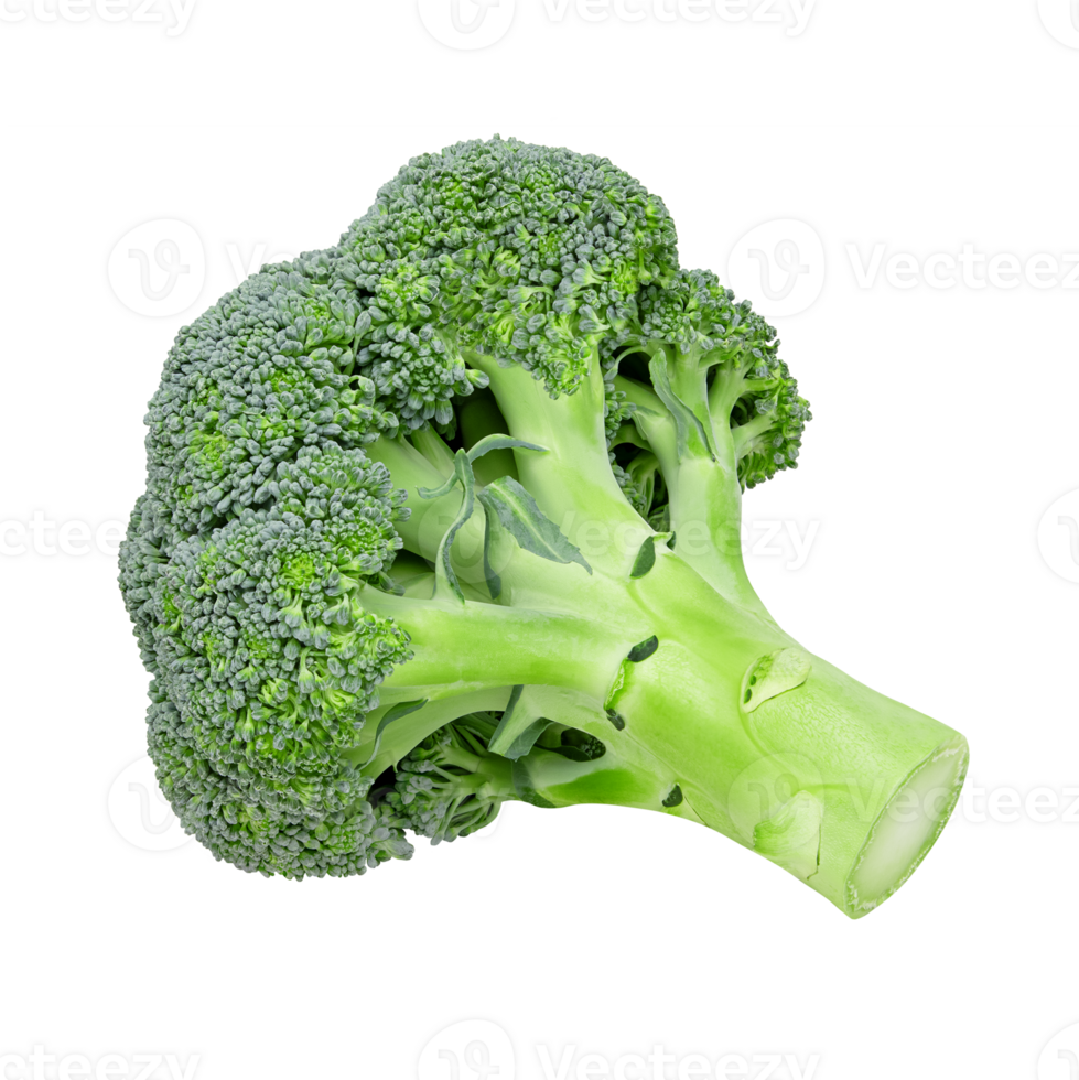 Fresh Broccoli