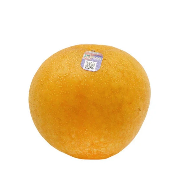 Korean Singo Pear