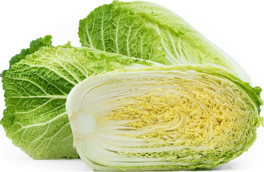 Napa Cabbage